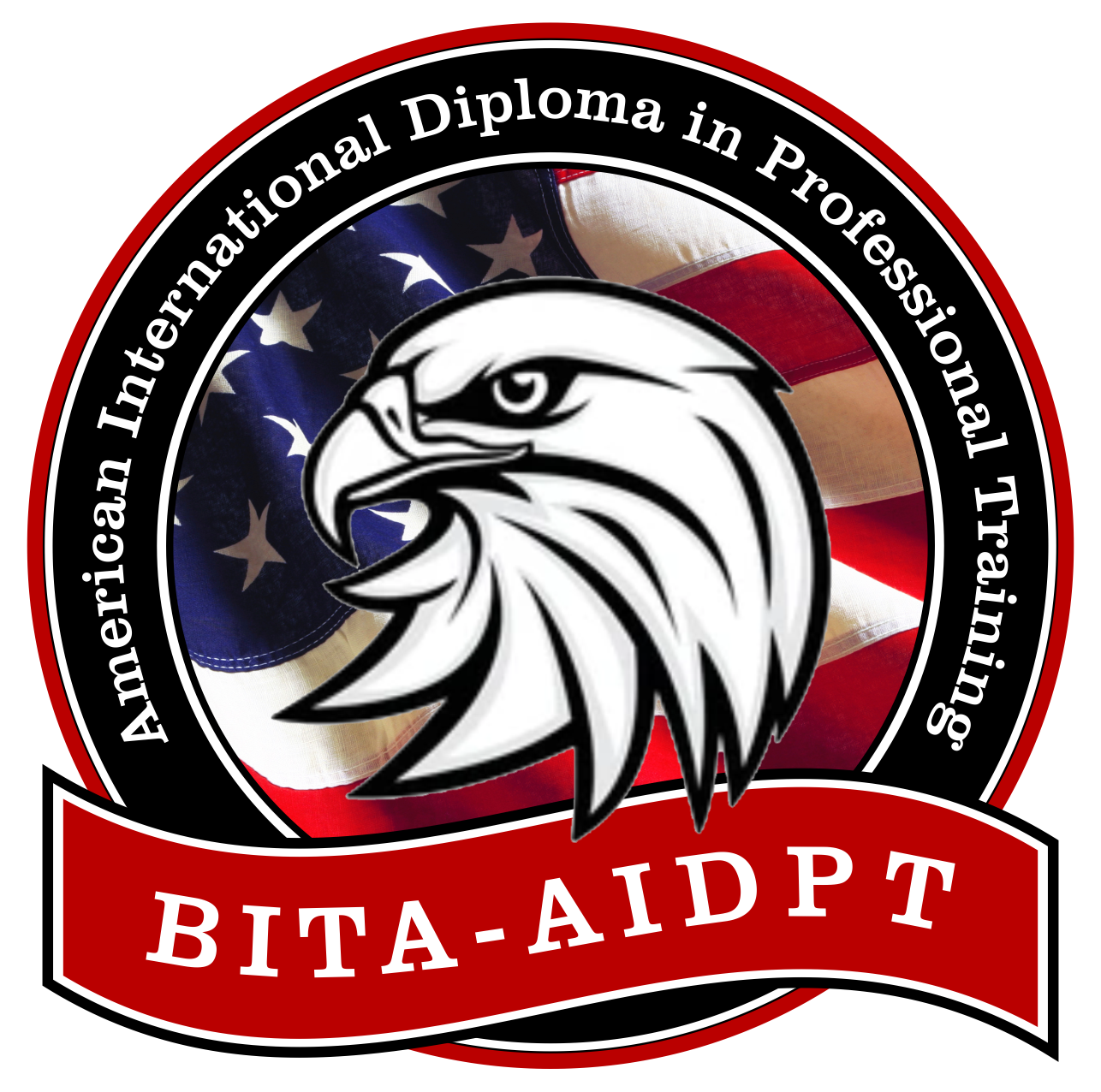 الدبلوم الأمريكي الدولي في التدريب الإحترافي